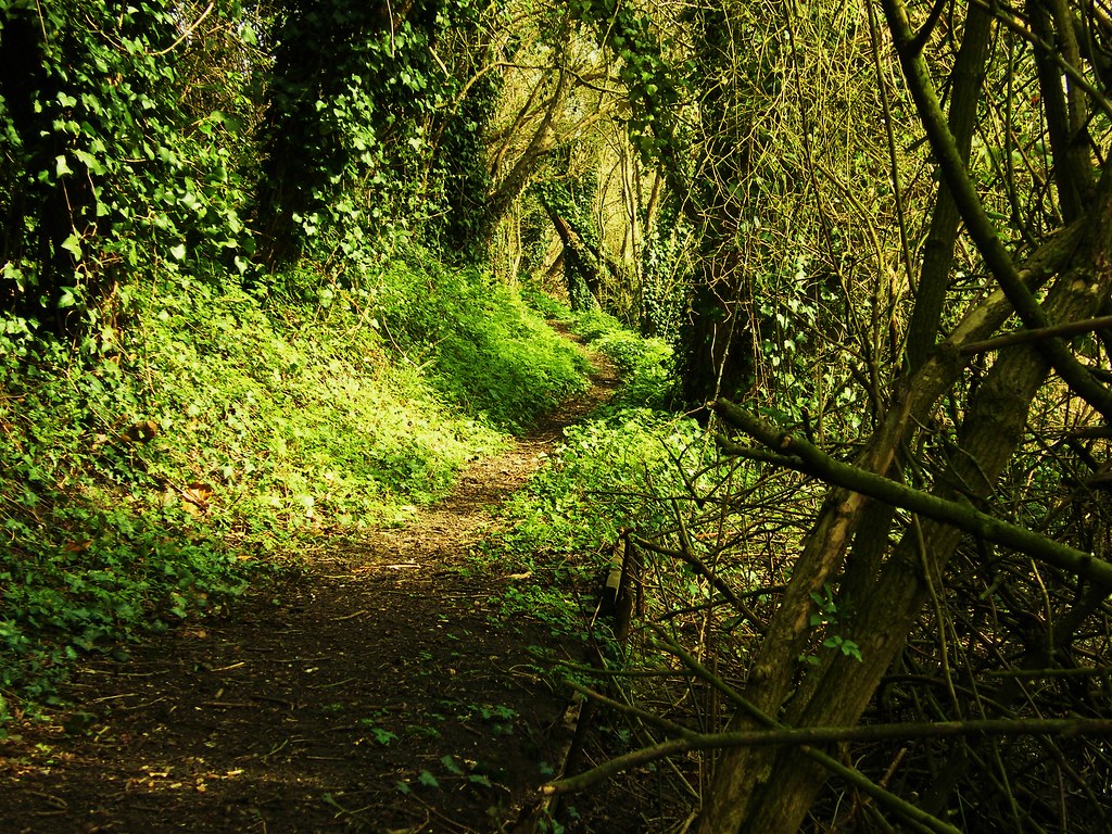 "Wildlife Trusts, Norwood Road. March Camb's UK... Flickr