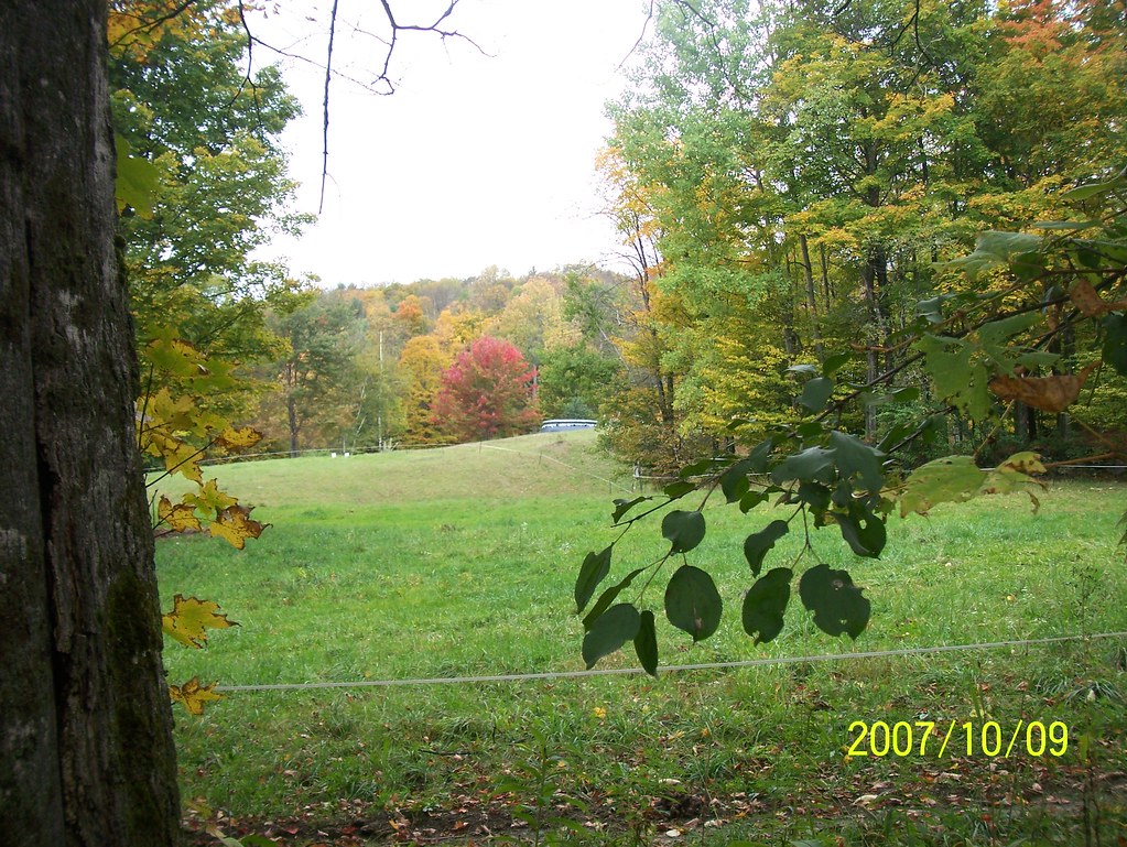Densmore Hill Looking across what was my grandparents' lan… Flickr