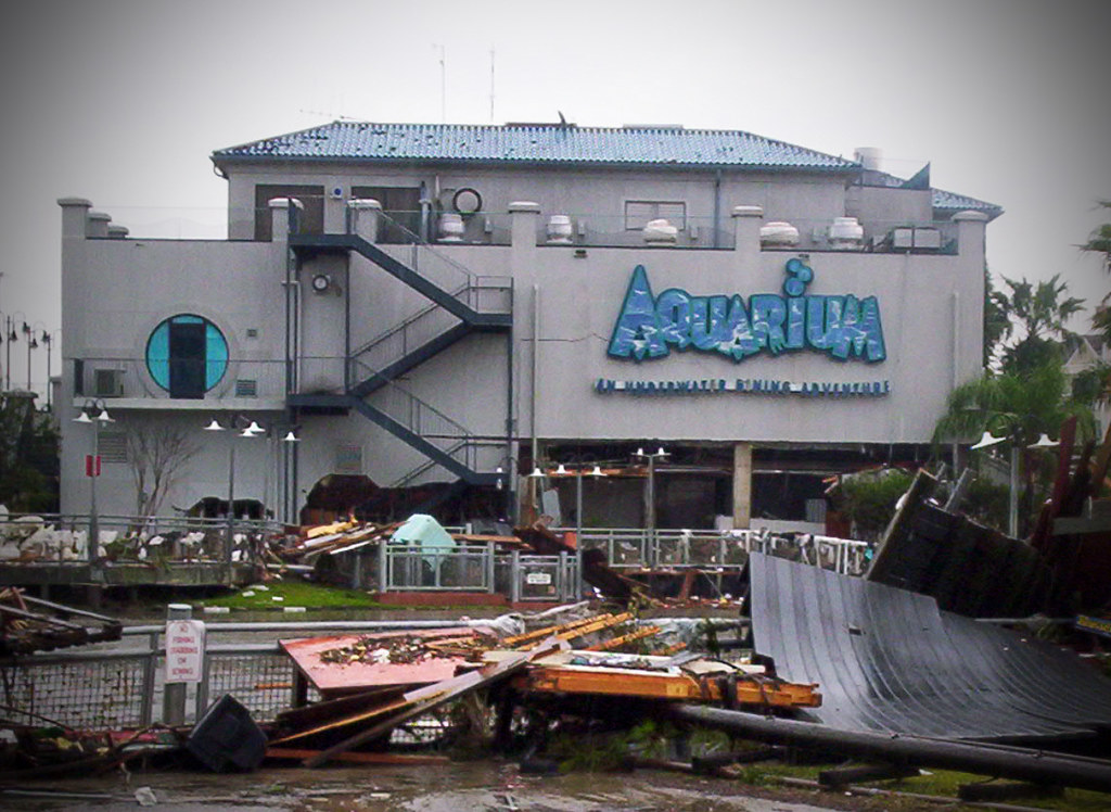 Kemah Boardwalk Aquarium Perhaps the one we most worried a… Flickr