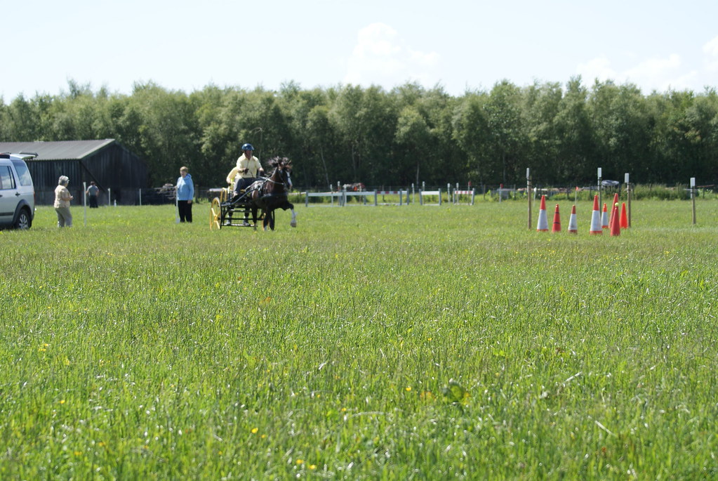 flowdons H D T 194 Dumfries and Galloway Horse Driving Club Flickr