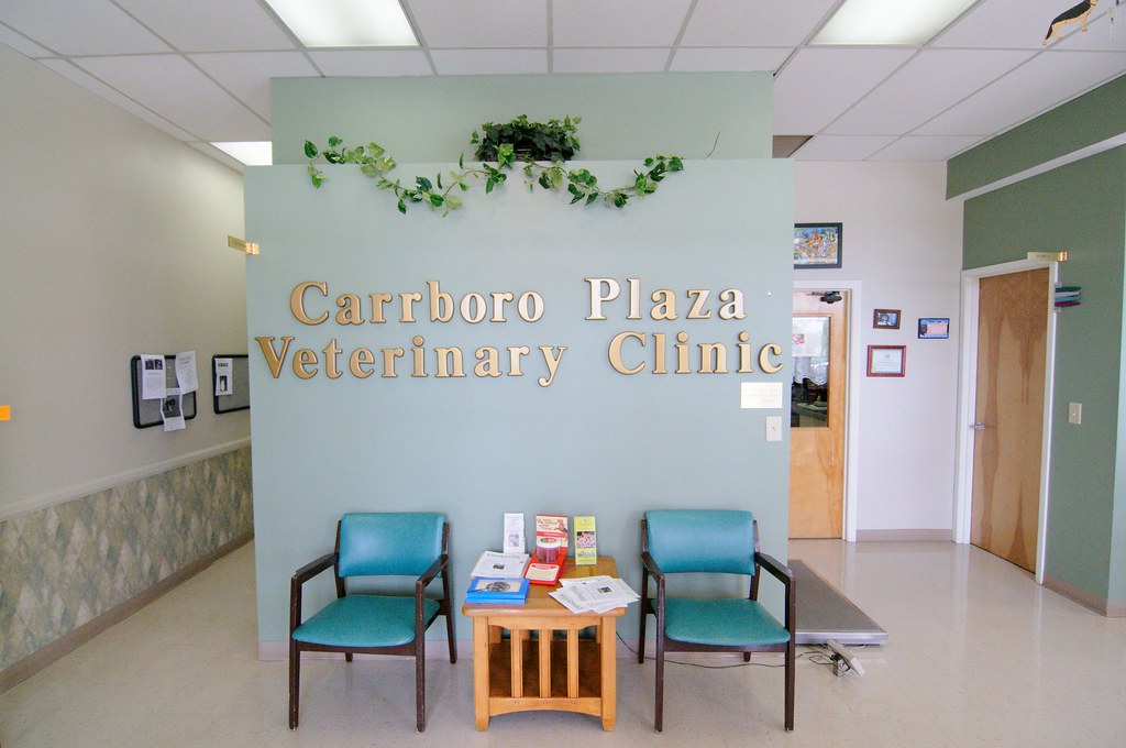 Carrboro Plaza Vet Clinic Lobby Patrick Flickr