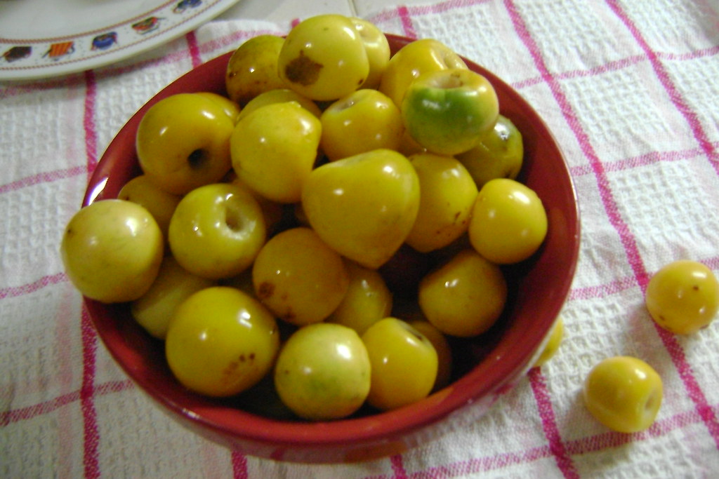 nance.. El nance congelado salvadoreño lo consumen los her… Flickr