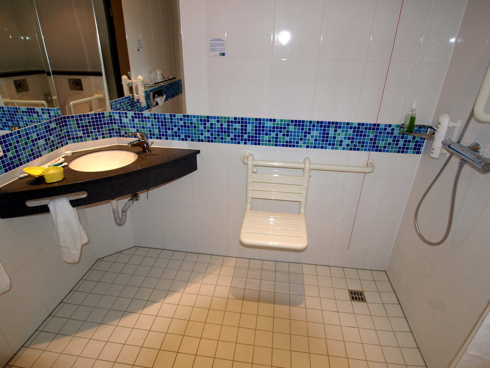 Bathrooms w/Access Features Flickr