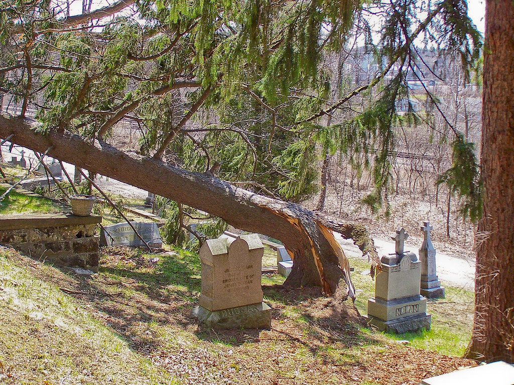 100_3016 St. Patrick’s Cemetery, Macedon, NY (storm damage… Paige