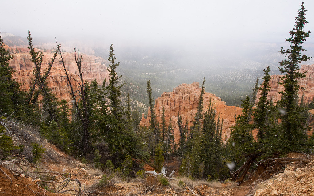 Snow at Bryce Canyon At 9100ft, Bryce's weather is a few m… Flickr