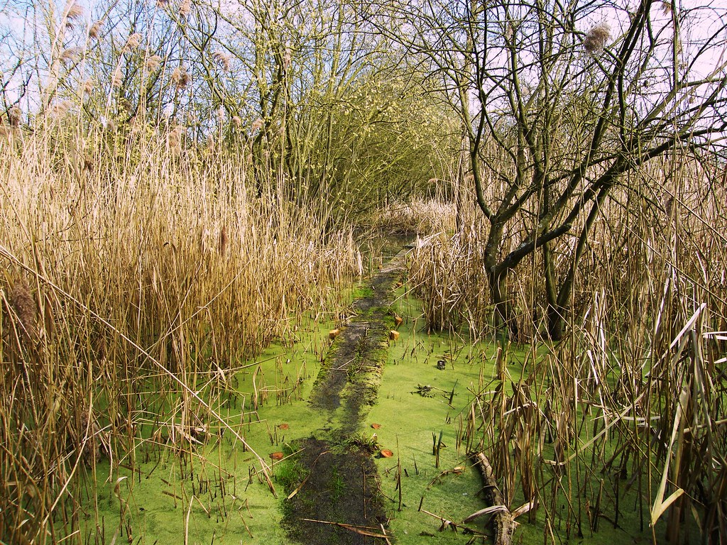 "Wildlife Trusts, Norwood Road. March Camb's UK.. 06 522 Flickr