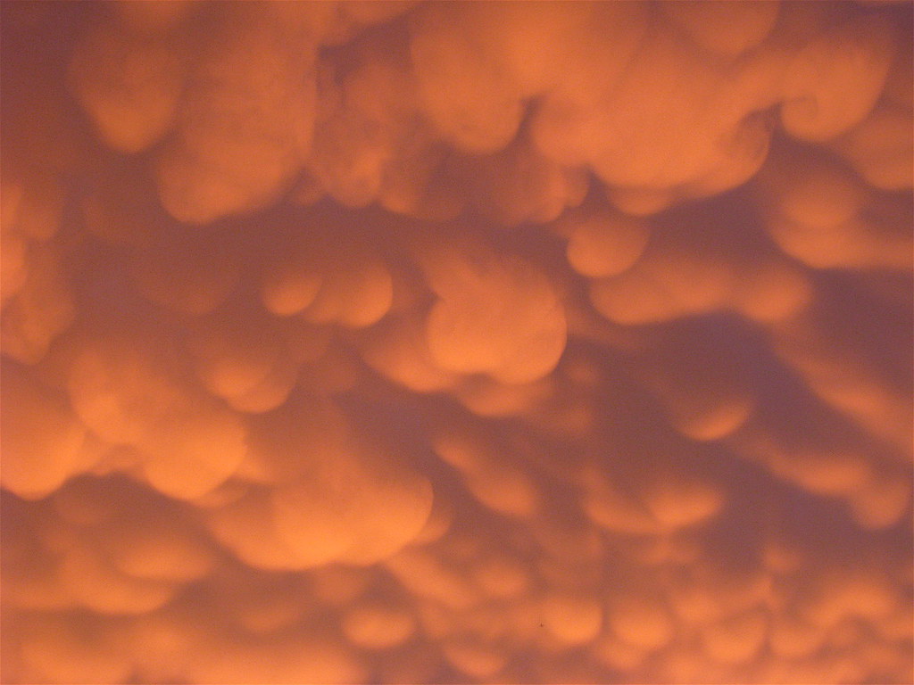 Cotton Ball Clouds Amazing sky after a 20minute downpour … Flickr
