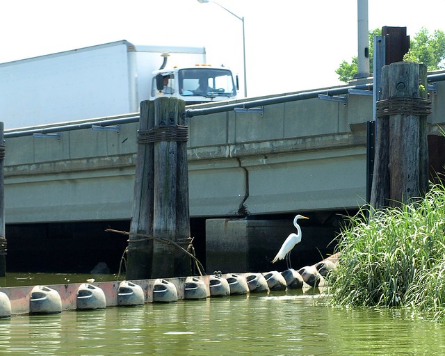 BRIDGE K265 Van Wyck Expressway Bridge over Flushing Creek, Queens
