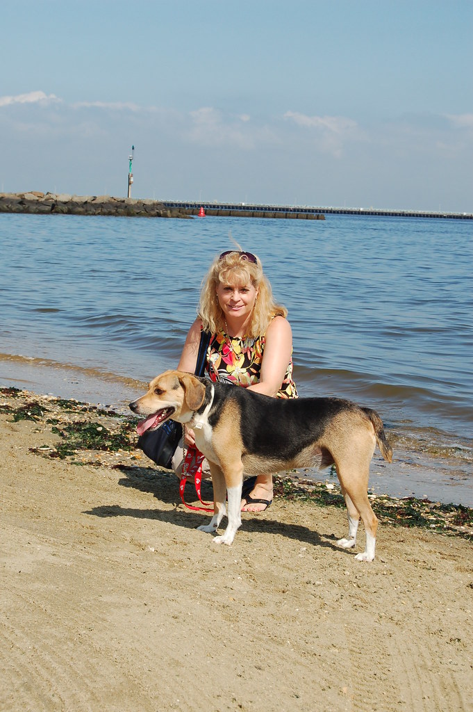 Leonardo State Marina, NJ Eleanor ParrDiLeo Flickr