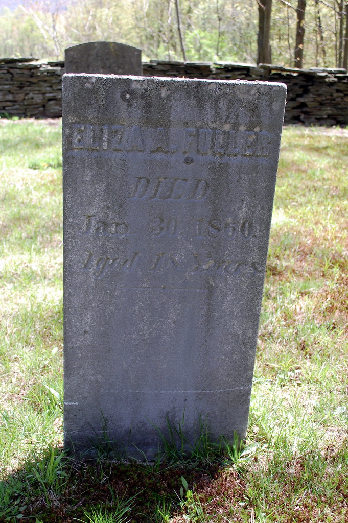 Fulton Cemetery, Walton, NY Fulton Family Cemetery? On the… Flickr