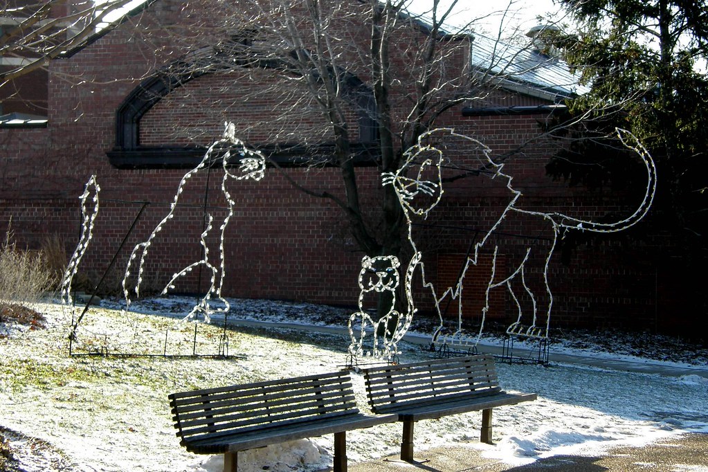 Lincoln Park Zoo Lights 08 LincolnPark Zoo, Zoo Lights 08 Flickr