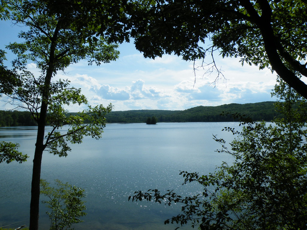 Elevation of Avery Lake, Albert Township, MI, USA Topographic Map Altitude Map