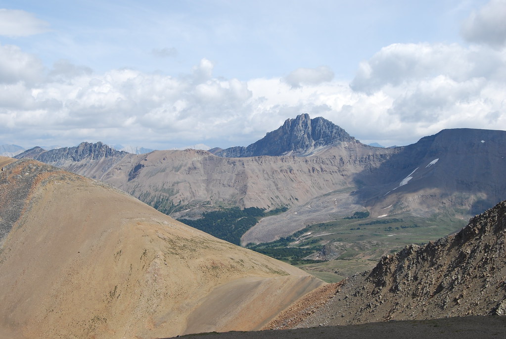 DSC_0263 Michael Lawton Flickr