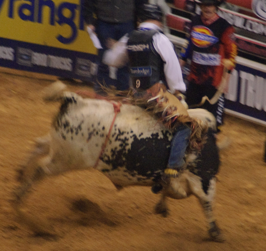 A Rodeo in WinstonSalem bull riding" happens… Flickr