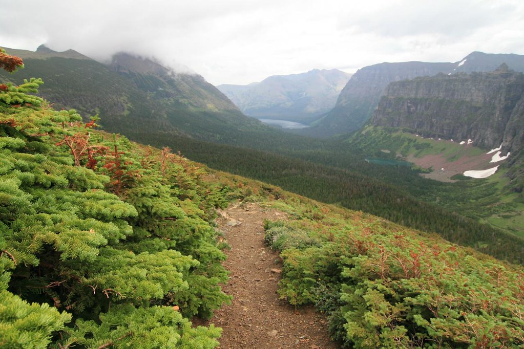 Dawson Pass Trail Vista Dawson Pass, Two Medicine Lake; Ea… Flickr