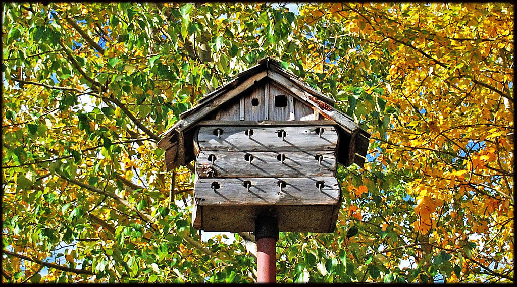 Bird Condo Eagle River Visitor center. Michael Hayes Flickr