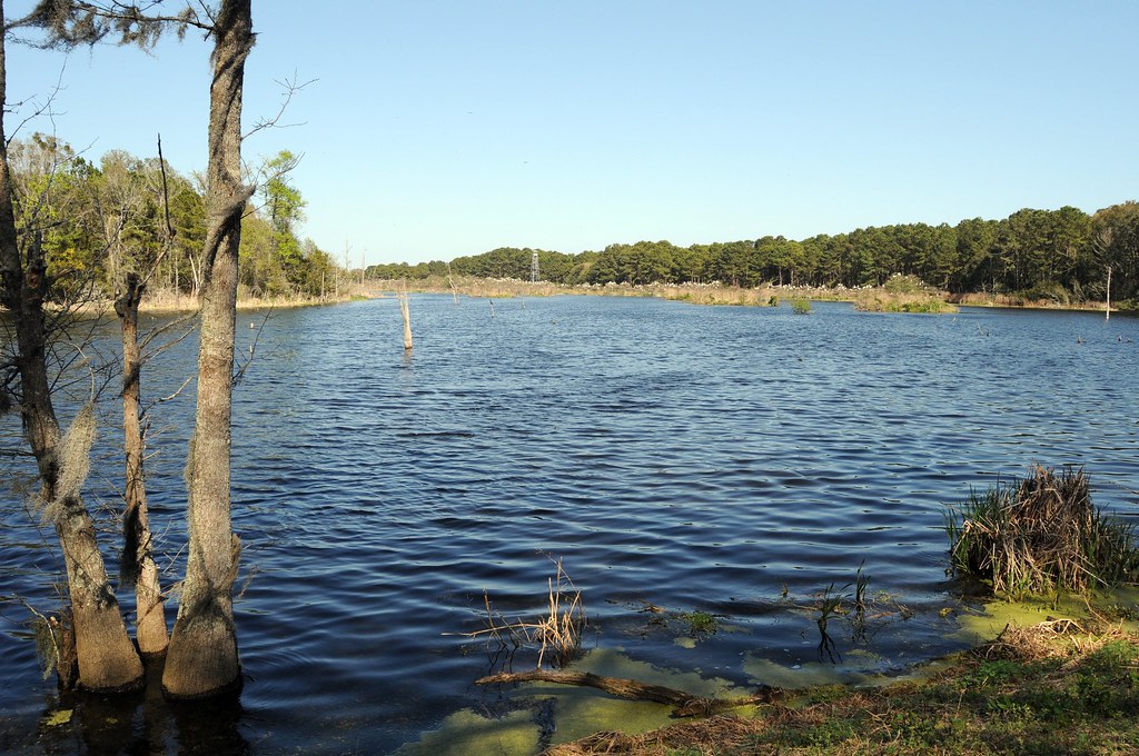 Harris Neck Wildlife Refuge Harris Neck, GA Dizzy Girl Flickr