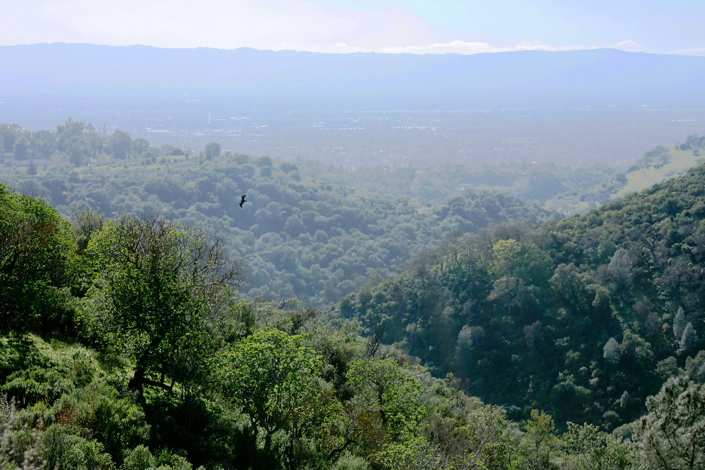 Web alum rock park is located in the diablo range foothills east of san jose. Alum Rock Park South Rim Trail View from the top of the … Flickr