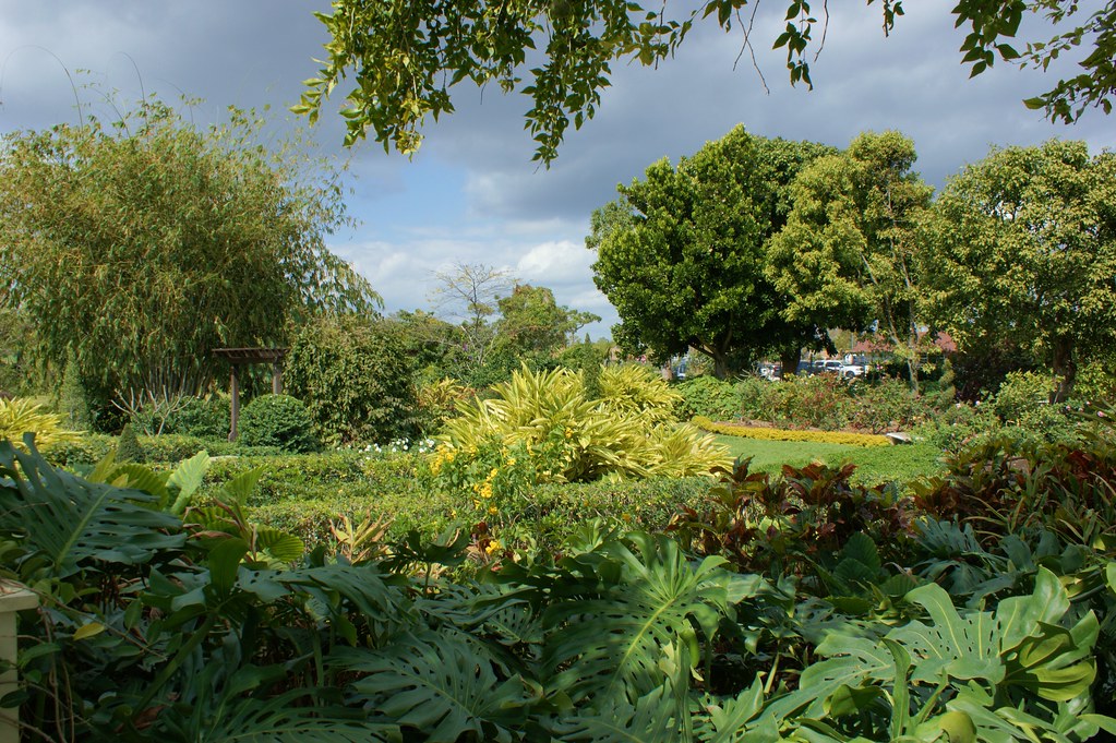 Mounts Botanic Garden (76) Karl Gercens Flickr