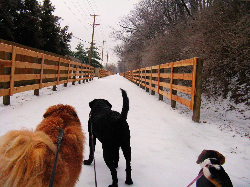 Brighton East Rail Trail. Lex, KY. Dos días antes de la to… Flickr