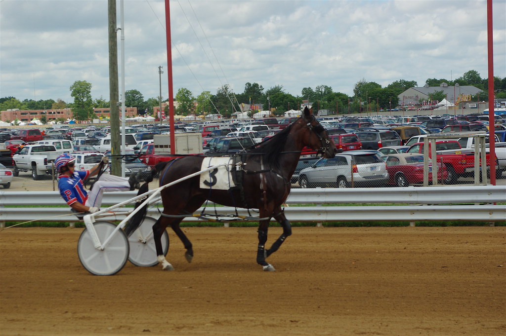 Indiana State Fair Harness Racing Natalie Curtiss Flickr