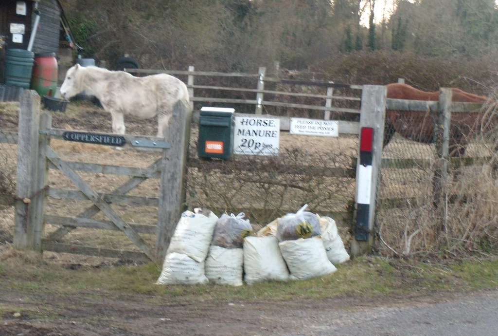 Enterprising horse Petersfield to Rowlands Castle moontiger Flickr