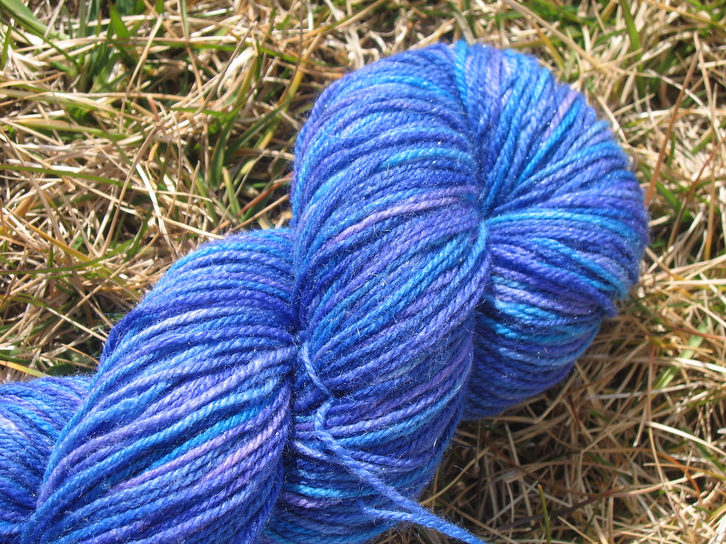 IMG_0021 woolology Flickr