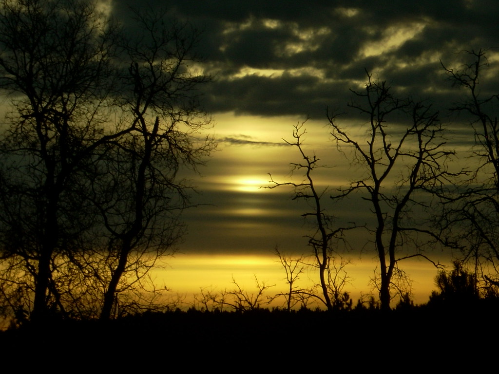 Muted Sunrise Very interesting light and clouds one mornin… Flickr