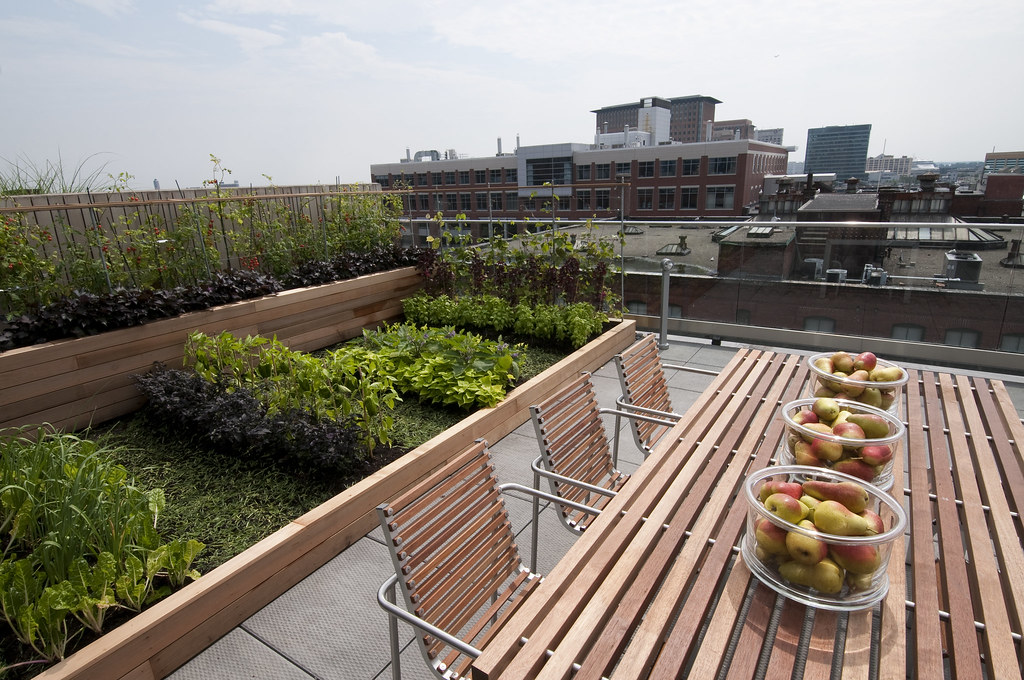 Winston FP3 edible rooftop garden Luis BrensBoston Photog… Flickr