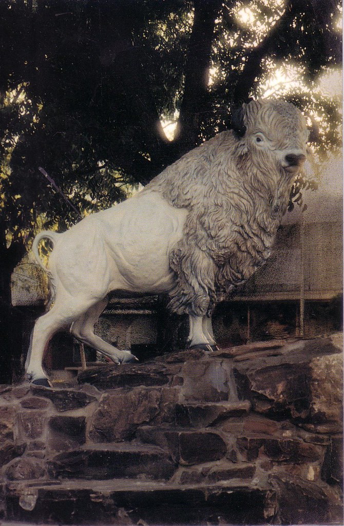 Snyder J. Wright Mooar, famed buffalo hunter, killed a rar… Flickr