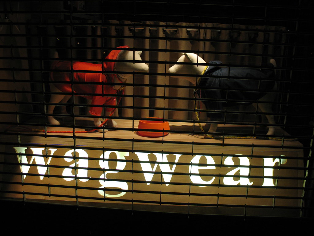 in new york, there is designer dogwear andrew pratt Flickr