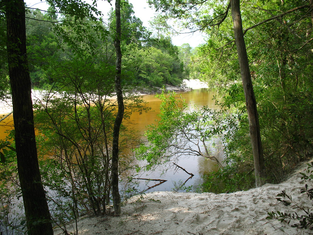 Blackwater River State Park 073 Sandra Flickr