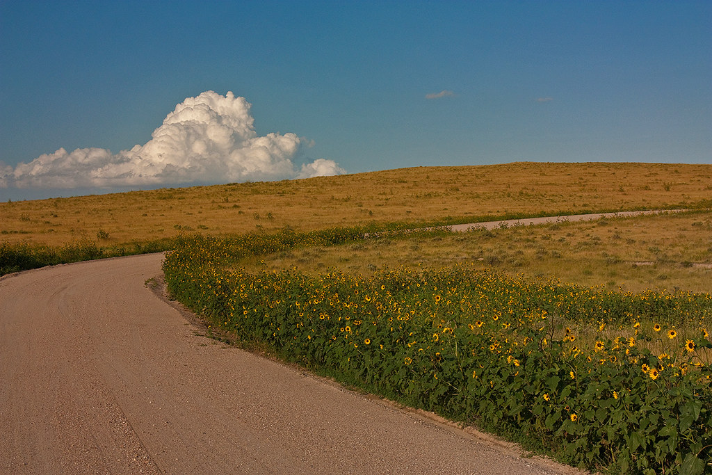 Gravel Road Pawnee National Grassland, Colorado. James Adams Flickr