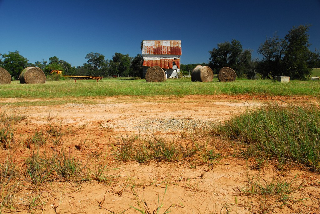 Woodville, GA (Greene County) Copyright 2009 D. Nelson Flickr