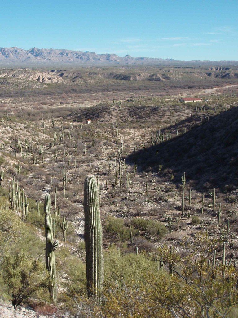 San Pedro River Valley, SE of San Manuel, AZ San Pedro Riv… Flickr