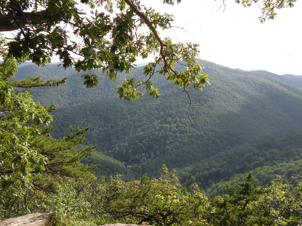 Washington National Forest Virginia, USA. John W. Iwanski