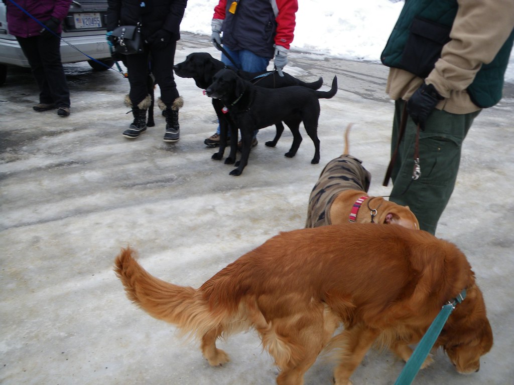 Livingston Park 01 Chris Flickr