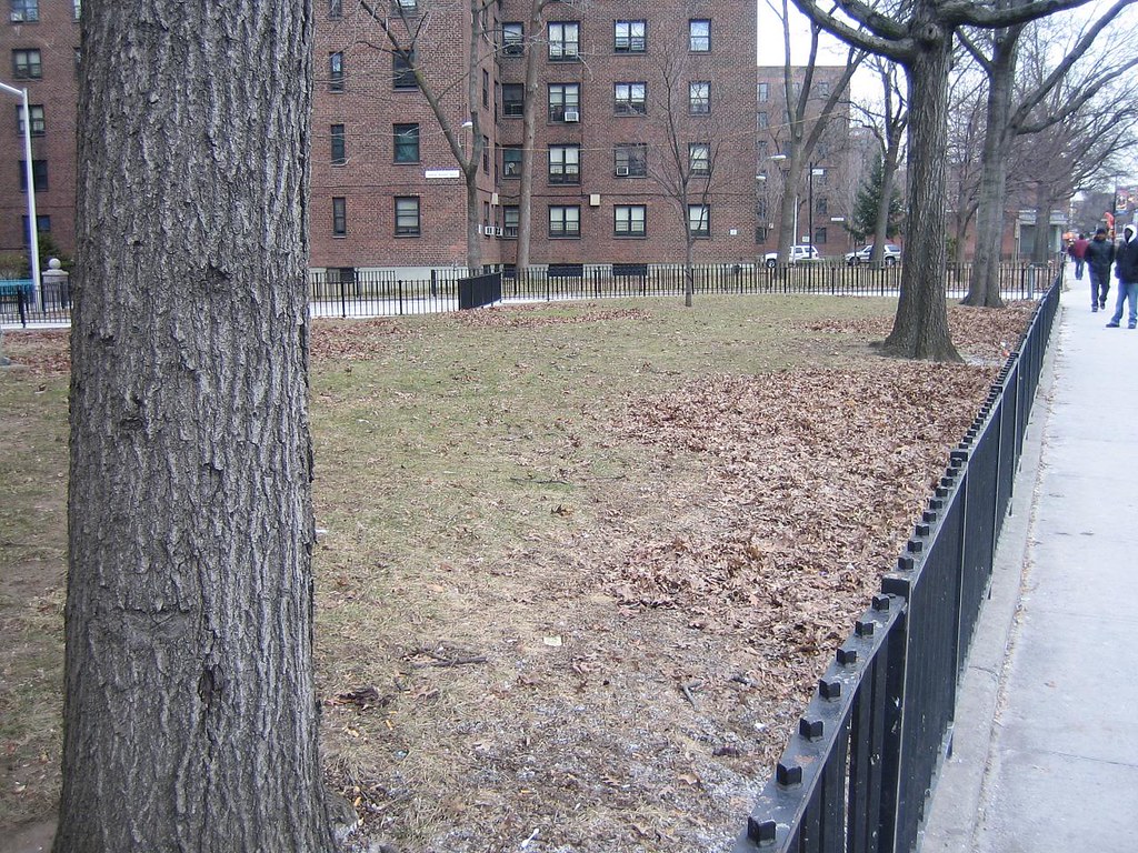 5. Whitman HousesMyrtle near North Portland Myrtle Avenue Brooklyn