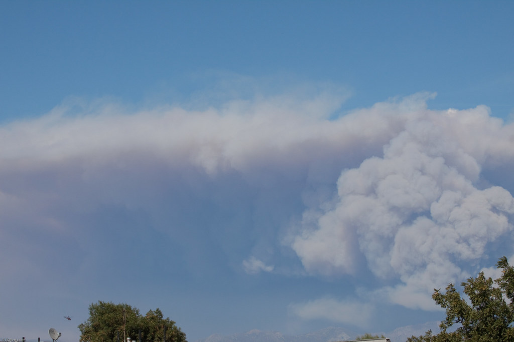 Altadena Fire, Southern California Wildfires VAN NUYS, CA … Flickr