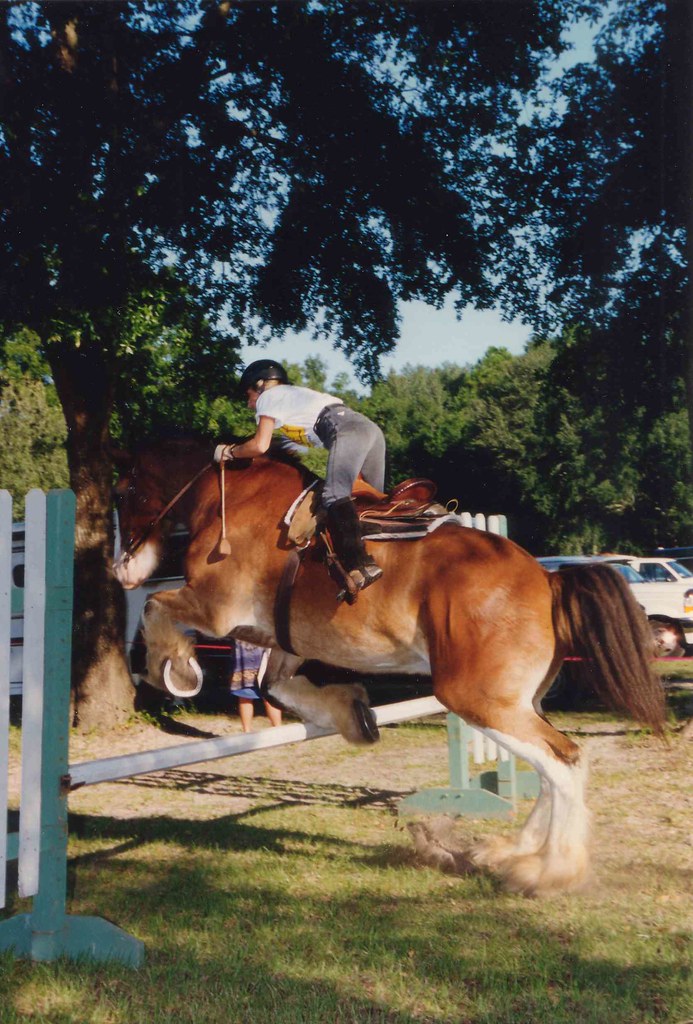 Jumping Clydesdale Here's a photo showing that draft horse… Flickr