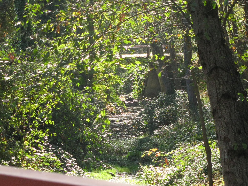 aprilphotojosshouse 010 April Carpenter Flickr