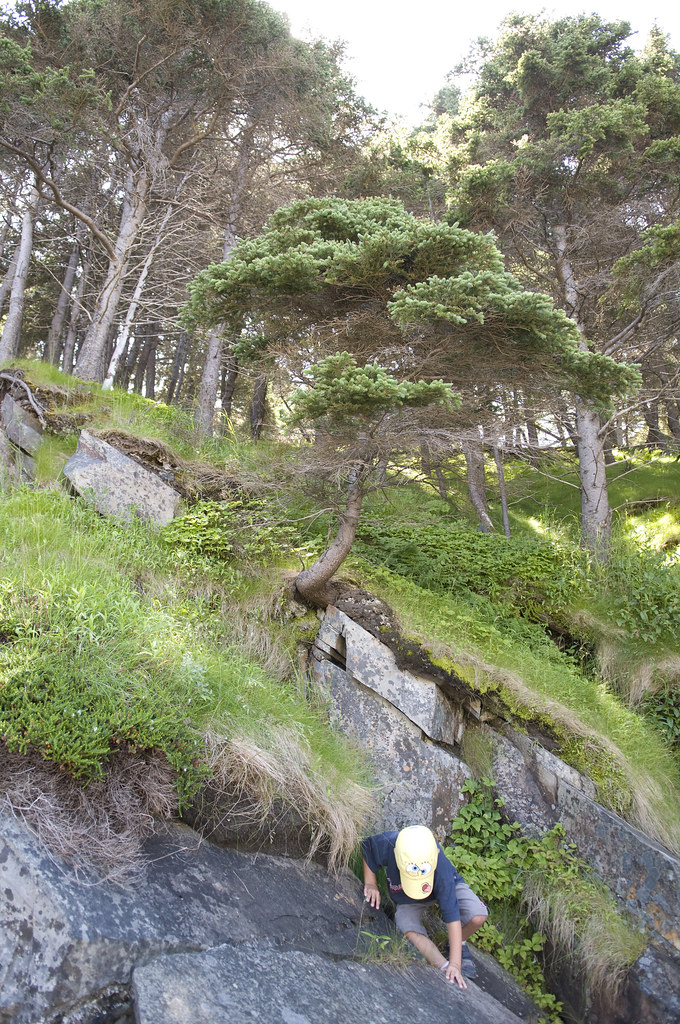 _DSC7743 Northern Bay Sands, Northern Bay, NL Nicole O'Brien Flickr