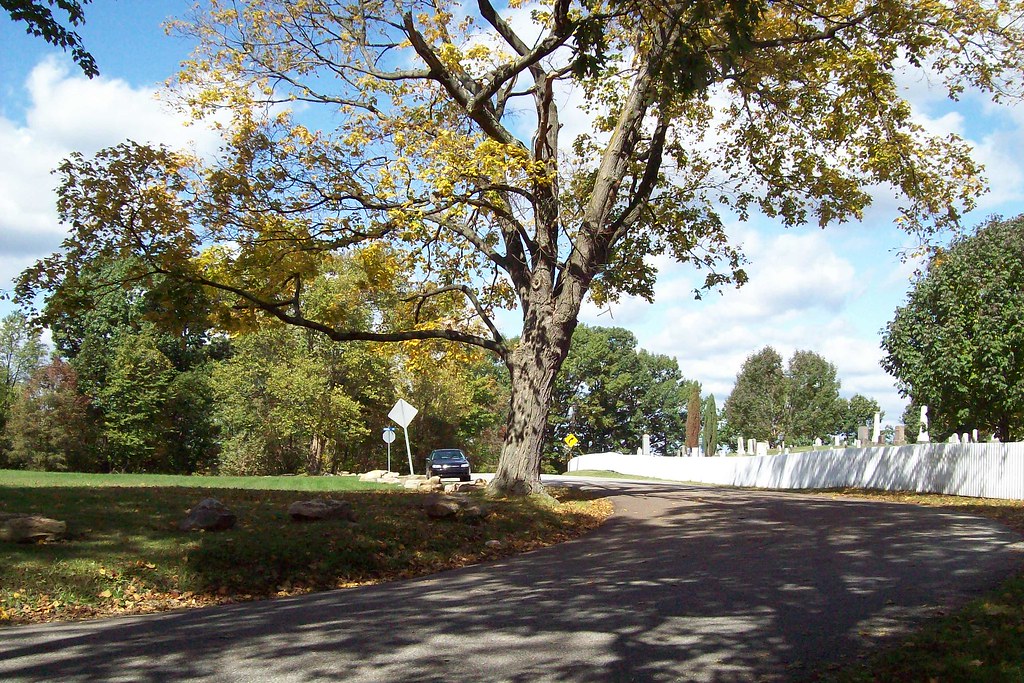 Hankey Church Cemetery 3 The grassy clearing across the … Flickr