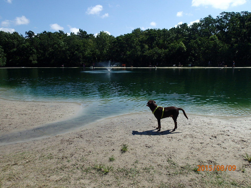 Dog Wood Park Jacksonville,FL Dog Wood Park Jacksonville,F… Flickr