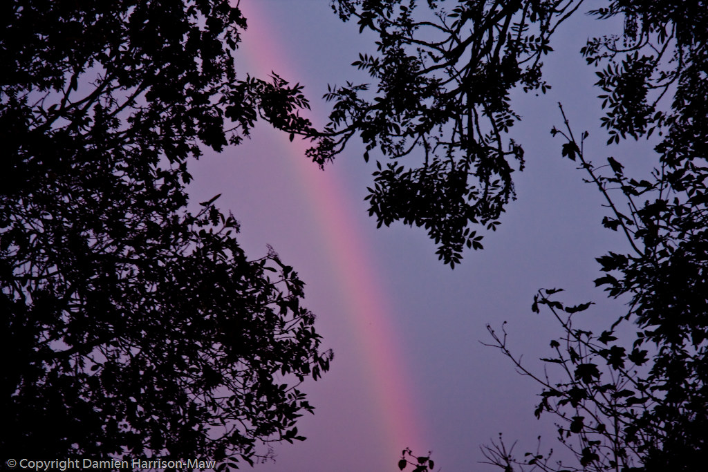 My Garden My Rainbow StillLife Flickr