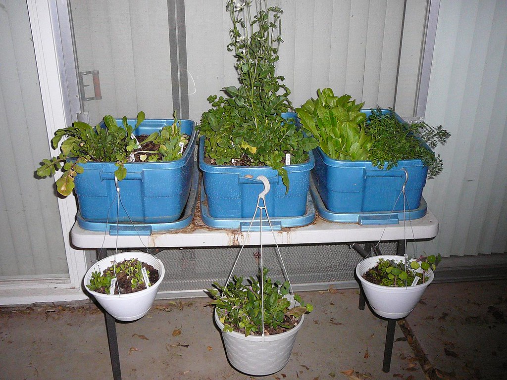 Tabletop Garden Thats alot of veggies on just a little fol… Flickr