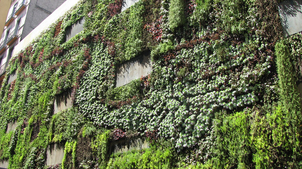 Vertical Gardens, Mexico City Centro Historico, Zocalo Flickr