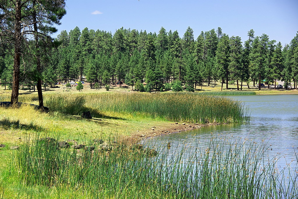 White Horse Lake from East Kaibab National Forest a photo on Flickriver