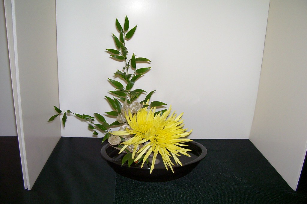 Spotswood Garden Club Flower Show, 10/9/09 Class IV Orie… Flickr