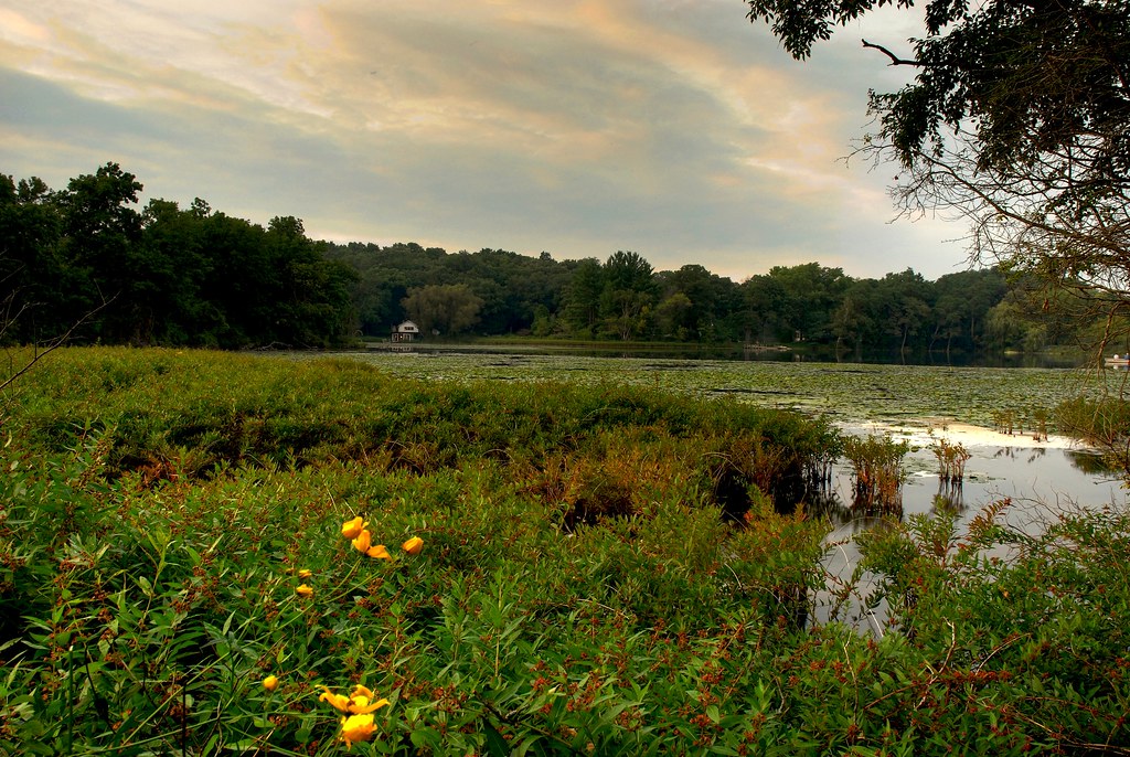 Mill Pond view This is the view of Mill Pond you would get… Flickr
